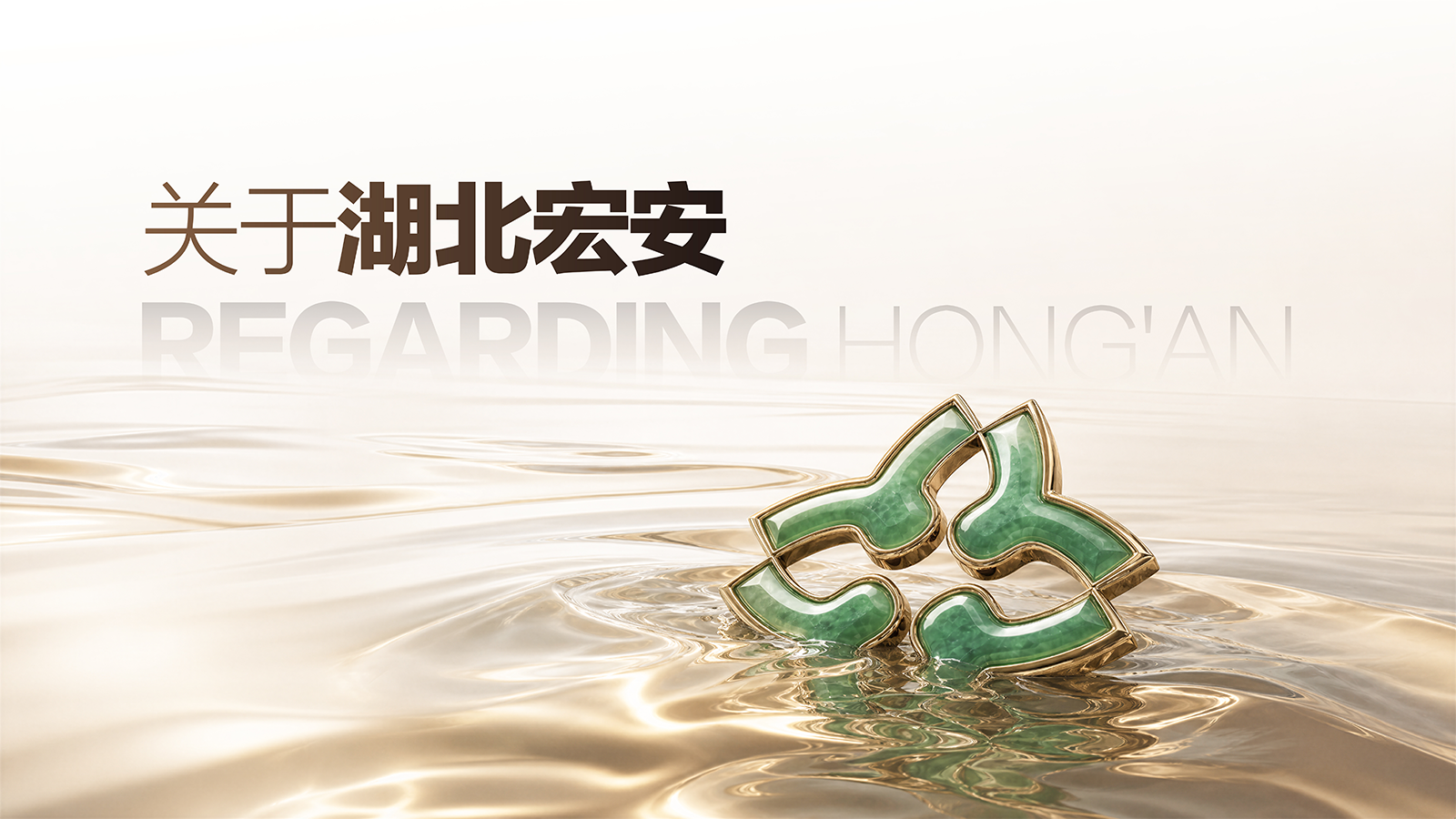湖北宏安03.png